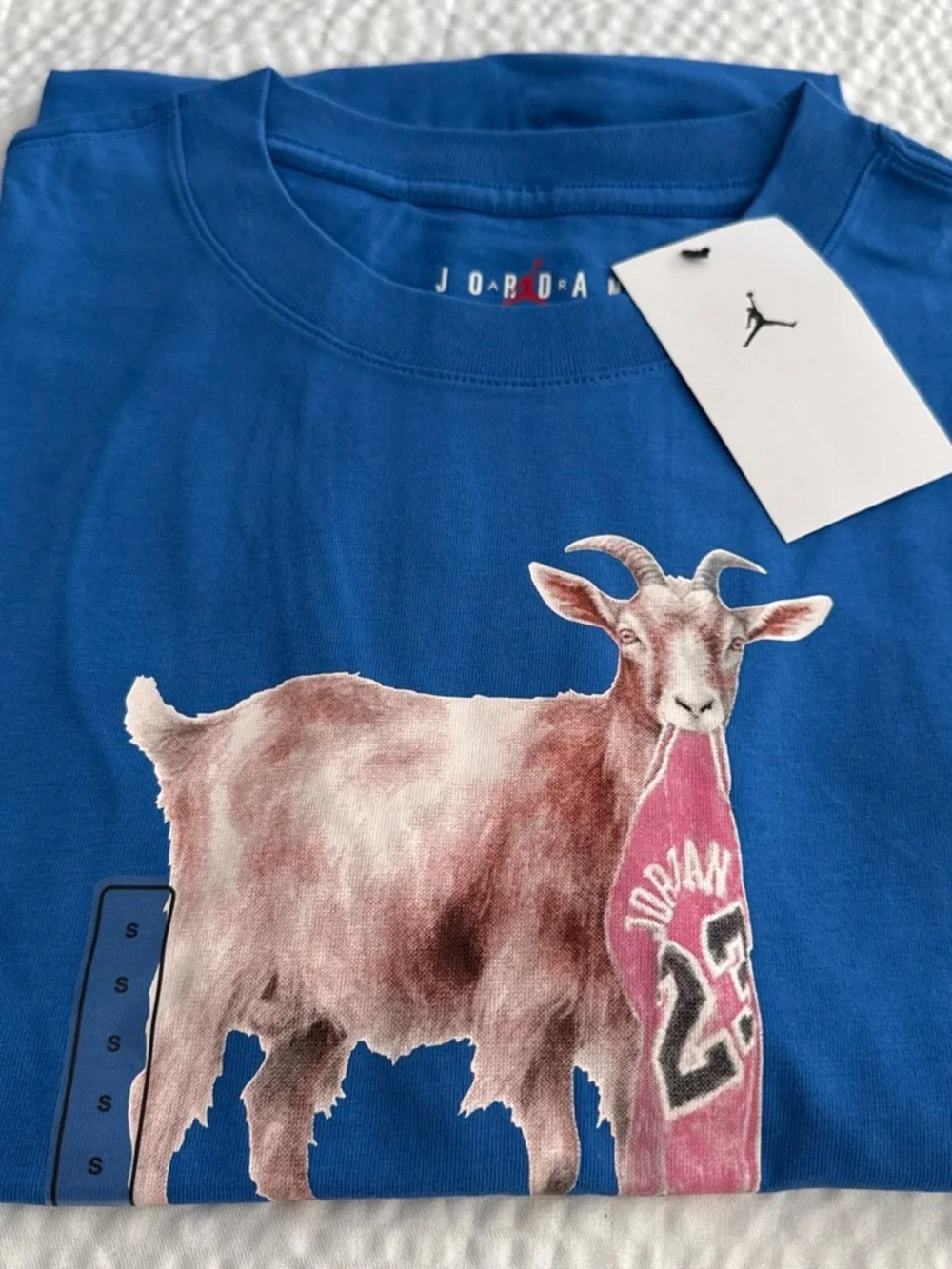 Jordan Blue Kids' Graphic Goat Tee with Pink Jersey